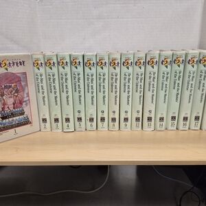 This VHS lot includes 17 volumes of He-Man and the Masters of the Universe,